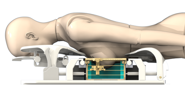 Visualisation of HYPMED PET-RF insert with patient in position